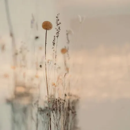 Sonnenhof Ξενοδοχείο Siebeldingen