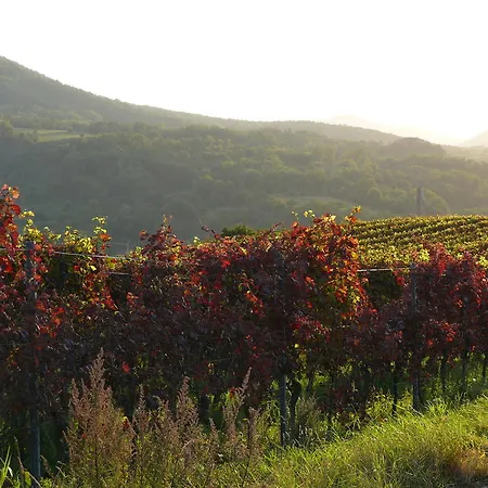 Sonnenhof Siebeldingen