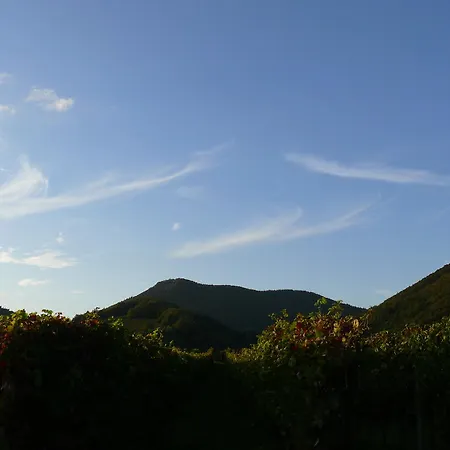 Sonnenhof