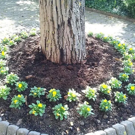 Sonnenhof 3*