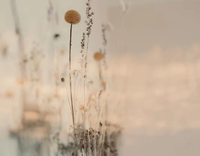 Sonnenhof Hotel Siebeldingen