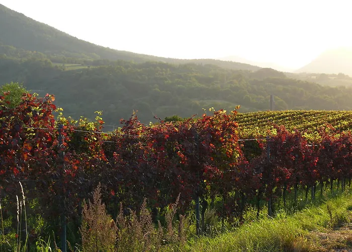 Sonnenhof Siebeldingen